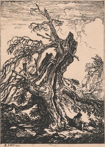 Study of a Tree by Raphael Lamar West