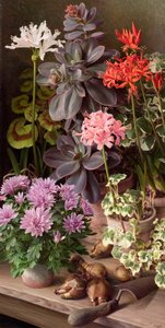 October flowers by Raymond Booth