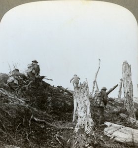 Assault in Trones Wood, Somme, France, World War I by Realistic Travels Publishers