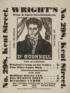 Poster by Redford and Robins