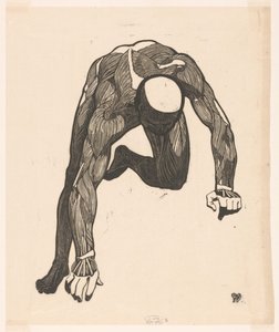 Anatomical Study of the Neck, Arm, and Leg Muscles of a Man