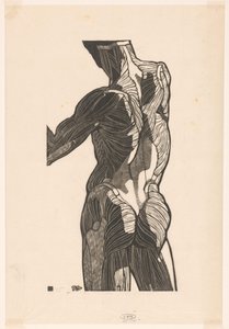 Anatomical Study of the Back and Buttock Muscles of a Man by Reijer Stolk