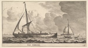A Samoureus by Reinier Zeeman