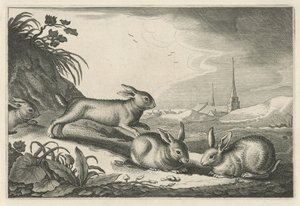 Dune Landscape with Rabbits (Diversa Animalia Quadrupedia) (series title)