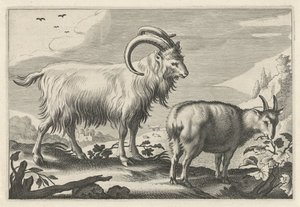 Hilly Landscape with Two Goats (Various Quadruped Animals)