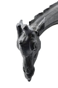 Large Giraffe with Lowered Head by Rembrandt Bugatti