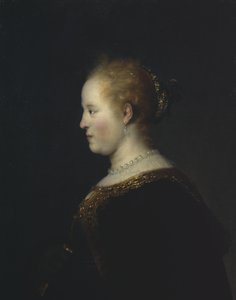 Portrait of a Young Woman