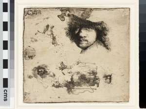 Sheet of studies by Rembrandt van Rijn