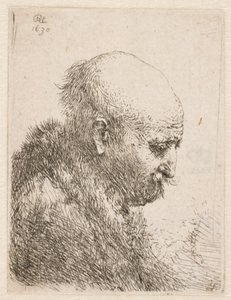 Bald-headed Man (Rembrandt