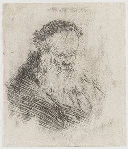 Bearded Old Man with High Forehead by Rembrandt van Rijn