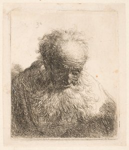 Bust of an Old Man with Flowing Beard: The Head Bowed Forward: Left Shoulder Unshaded