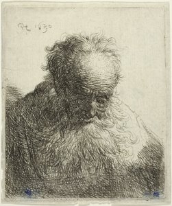 Bust of an Old Man with a Flowing Beard: The Head Bowed Forward: Left Shoulder Unshaded by Rembrandt van Rijn