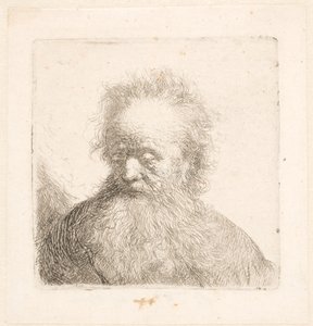 Bust of an Old Man with Flowing Beard by Rembrandt van Rijn