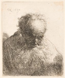 Bust of an Old Man with Flowing Beard: Head Bowed Forward by Rembrandt van Rijn