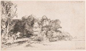 Clump of Trees with a Vista by Rembrandt van Rijn
