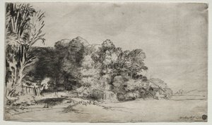 Clump of Trees with a Vista by Rembrandt van Rijn