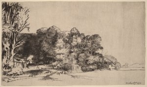 Clump of Trees with a Vista by Rembrandt van Rijn