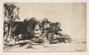 Clump of Trees with a Vista by Rembrandt van Rijn