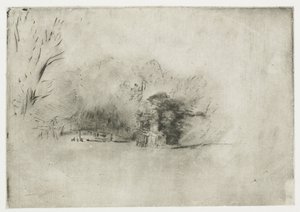 Farmhouse among Trees