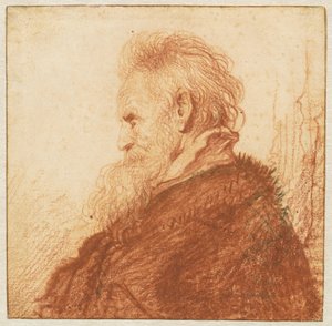Head of an Old Man by Rembrandt van Rijn
