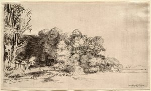 Landscape with a Clump of Trees by Rembrandt van Rijn