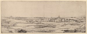 Landscape with a View toward Haarlem (The Goldweigher