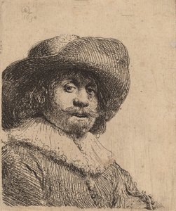 Man in a Broad-Brimmed Hat