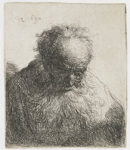 Old Man with a Flowing Beard, the Left Shoulder Unshaded by Rembrandt van Rijn