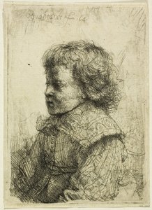 Portrait of a Boy