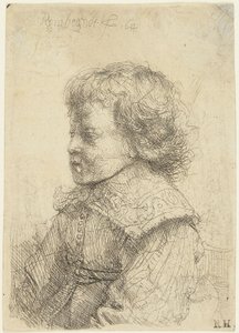 Portrait of a Boy by Rembrandt van Rijn