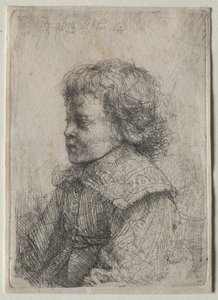 Portrait of a Boy in Profile by Rembrandt van Rijn