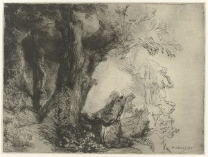 Saint Francis Beneath a Tree, Praying by Rembrandt van Rijn