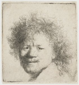 Self-portrait with Long Bushy Hair: Head Only by Rembrandt van Rijn