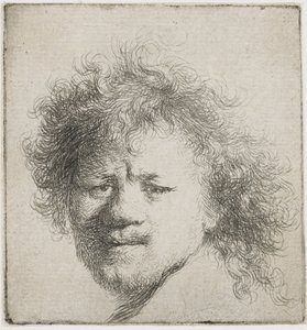Self-Portrait with Long Bushy Hair: Head Only