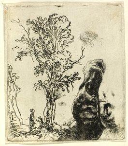 Sheet with Two Studies: A Tree, and the Upper Part of the Head of the Artist Wearing a Velvet Cap by Rembrandt van Rijn