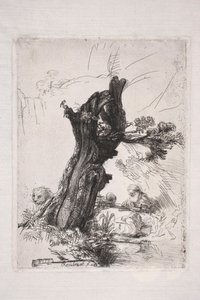Saint Jerome Writing by a Willow Trunk by Rembrandt van Rijn