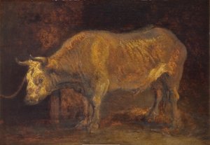 An Ox Standing