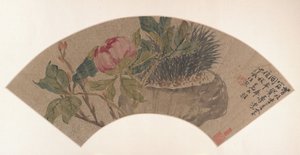 Peony