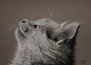 Cat Moment by Renate Dohr