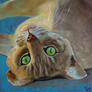 Cat Happiness by Renate Dohr
