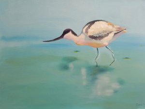 Avocet by Renate Dohr