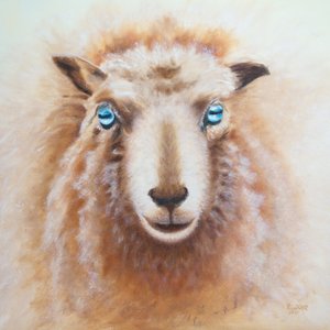 Sheep by Renate Dohr