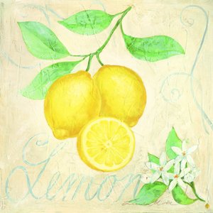 Fresh Lemons Botanical by Renate Holzner
