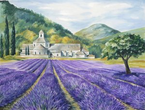 Lavender Field Serenity by Renate Holzner
