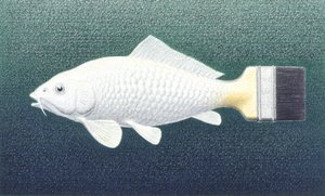 Brushfish by Rene Boin