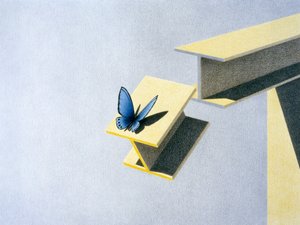 Butterfly by Rene Boin