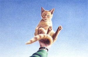 Handfull by Rene Boin