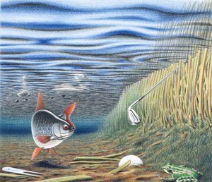 Waterhazard by Rene Boin