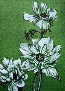 Creepy Green Flowers