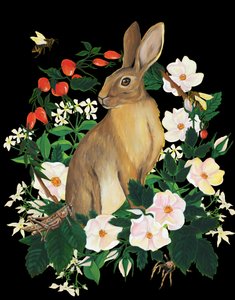 Wild Rabbit and Flowers